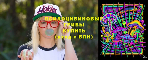 скорость Липки