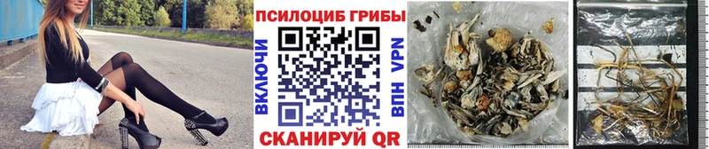 закладка  Таруса  Псилоцибиновые грибы MAGIC MUSHROOMS 